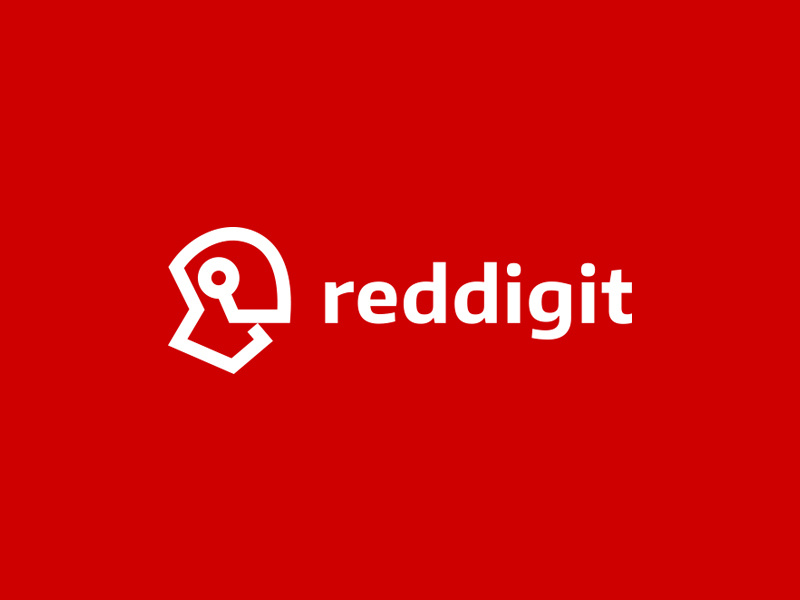 Simple Logo Examples Reddigit
