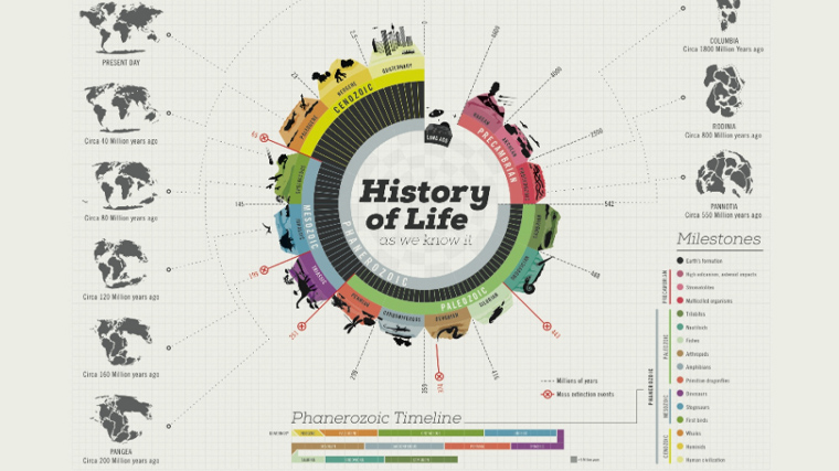 History of life timeline