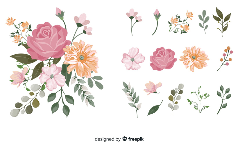 Free colorful flower illustrations