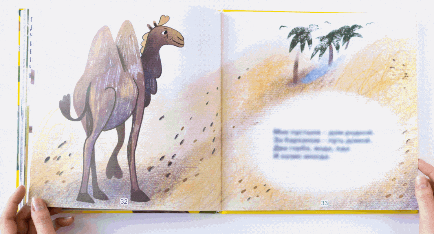 Animal Children Book Illustrations