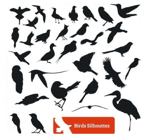30 Free Printable Bird Shapes