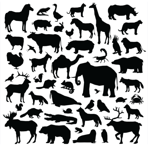 50 Free Exotic and Forest Animals Silhouettes