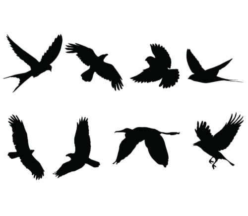 8 Free Bird Silhouette Shapes