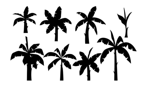 8 Free Palm Shapes for Summer Projects