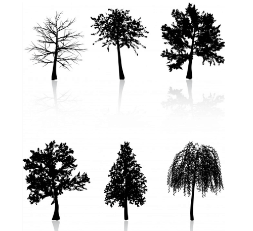 6 Free Shapes of Trees with Realistic Shadows
