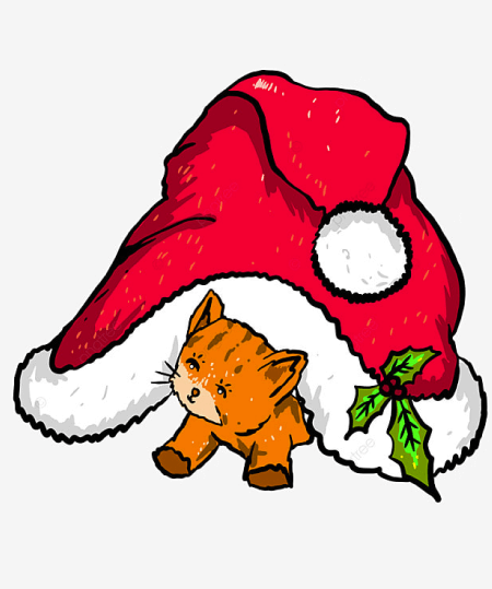 Christmas Hat PNG Transparent Photographic and Clipart Images 23