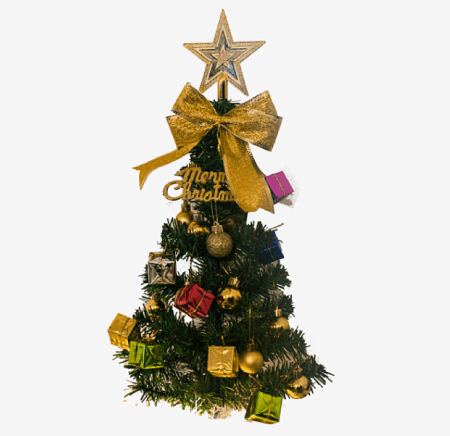 Free Christmas Tree PNG 03