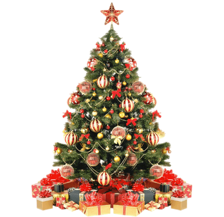 Free Christmas Tree PNG 37