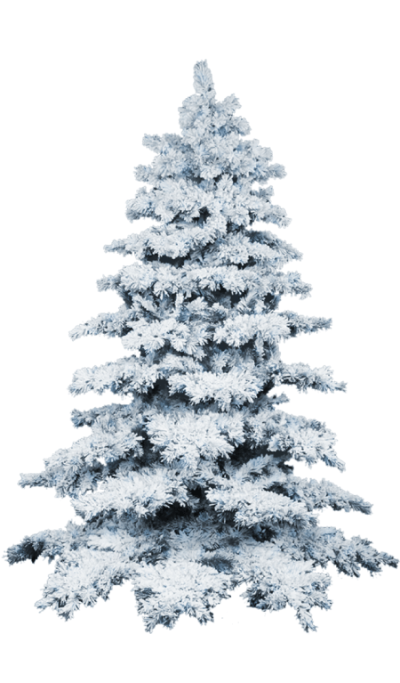 Free Christmas Tree PNG 38