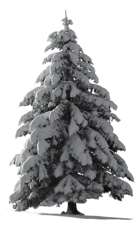 Free Christmas Tree PNG 39