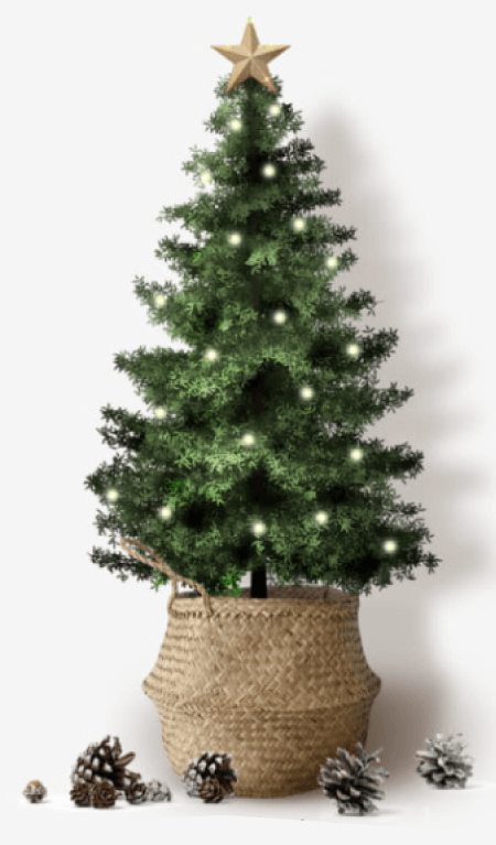 Free Christmas Tree PNG 04