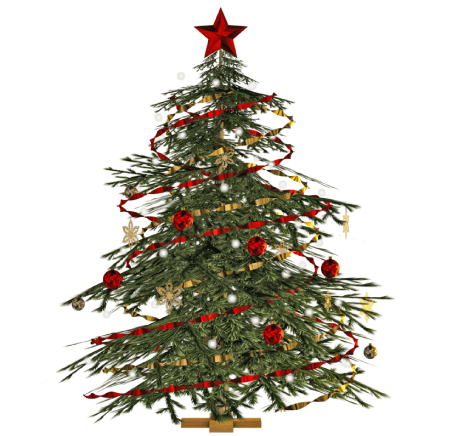 Free Christmas Tree PNG 41