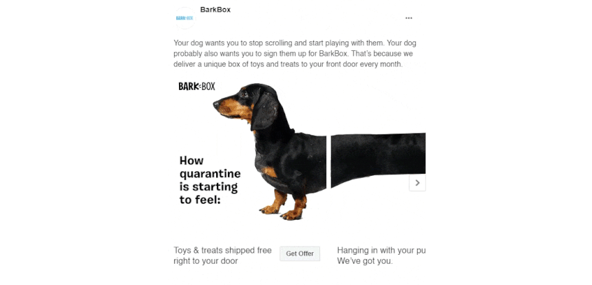 BarkBox Facebook Carousel Ad grab attention with the first image
