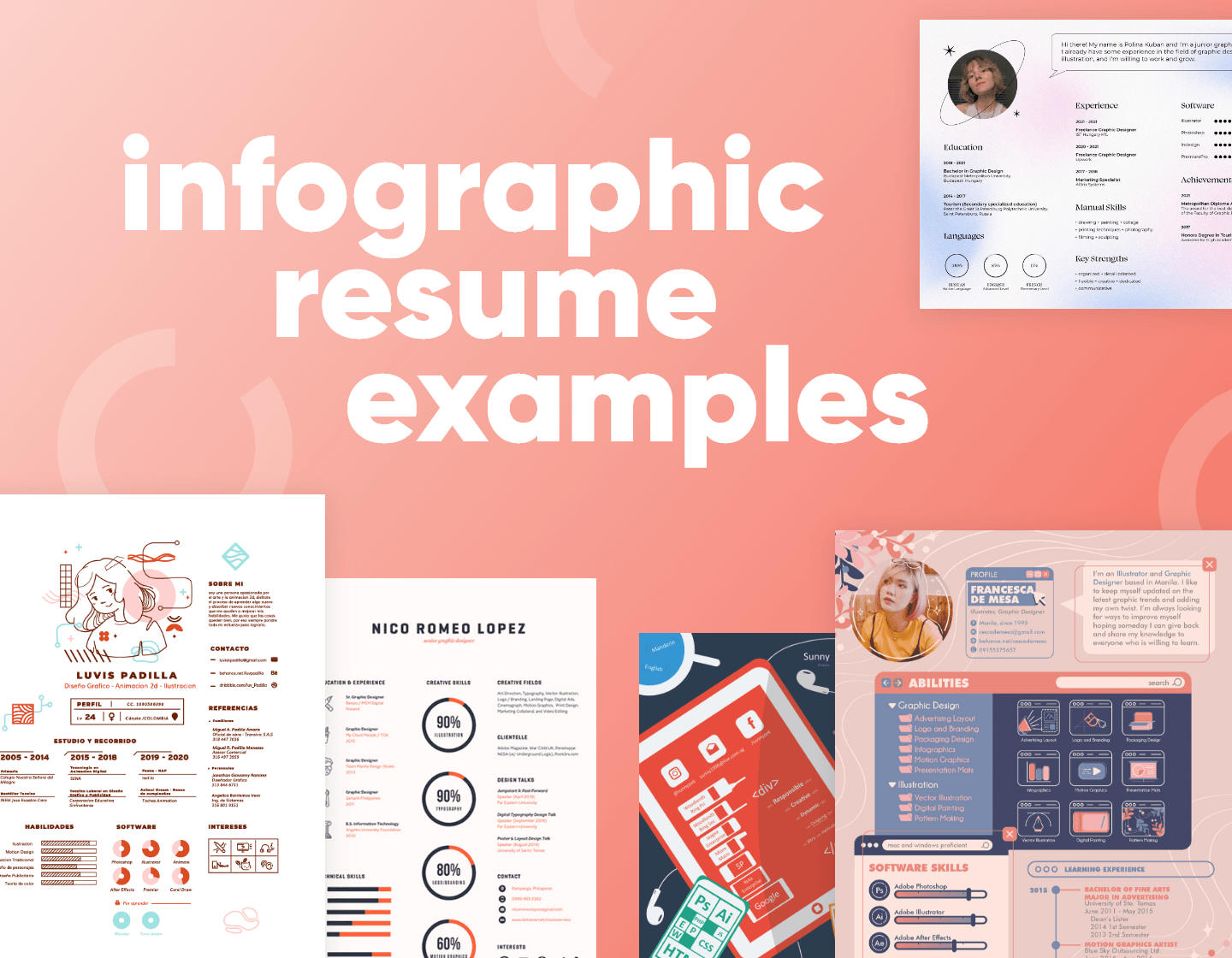 infographic resume examples