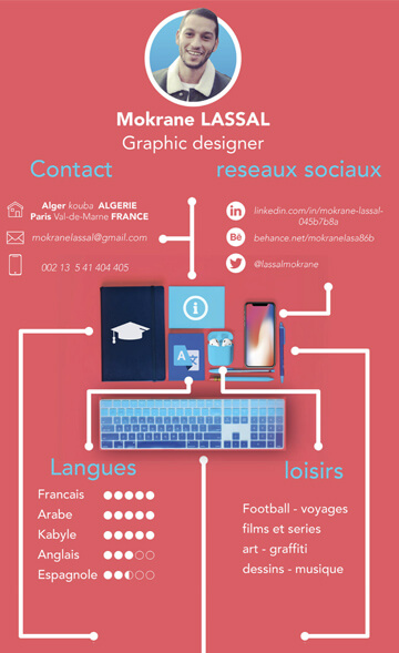Graphic Designer CV Infographic