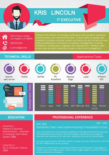 IT Executive Resume Infographic