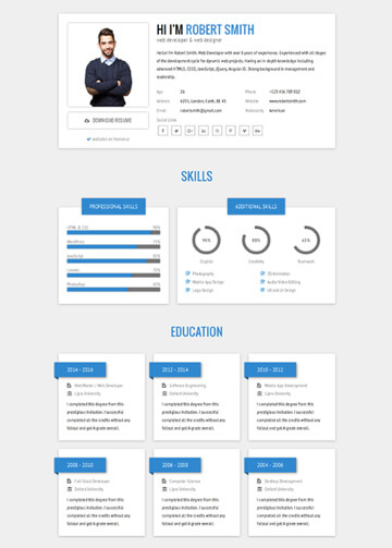 Web Developer Resume Infographic