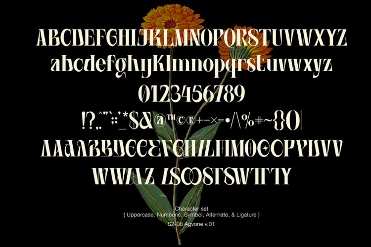 Agvone Display Font Typeface Design Example