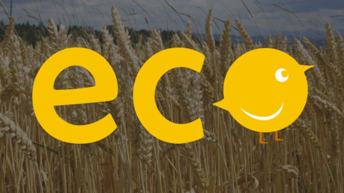 Eco - Flat Logo Design
