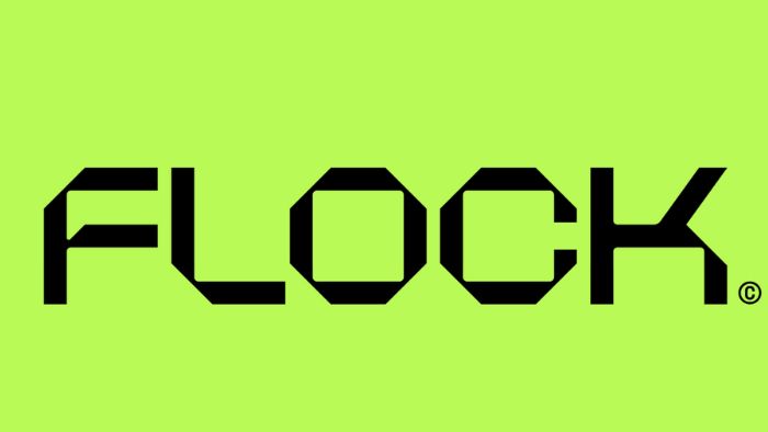 Flock - Wordmark Logo Design