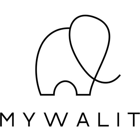 Mywalit Abstract Logo Design Example