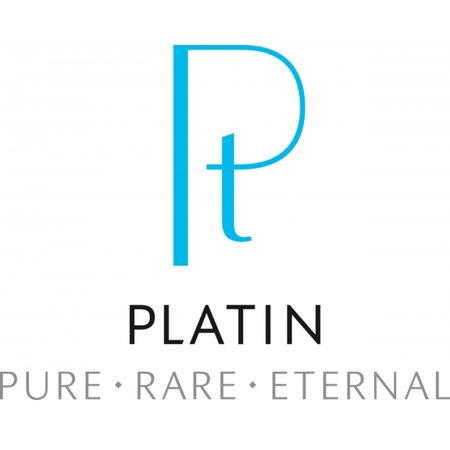 Platin Logo Design Monogram Example