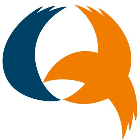 QSoft Vietnam Letterform Logo Design Example