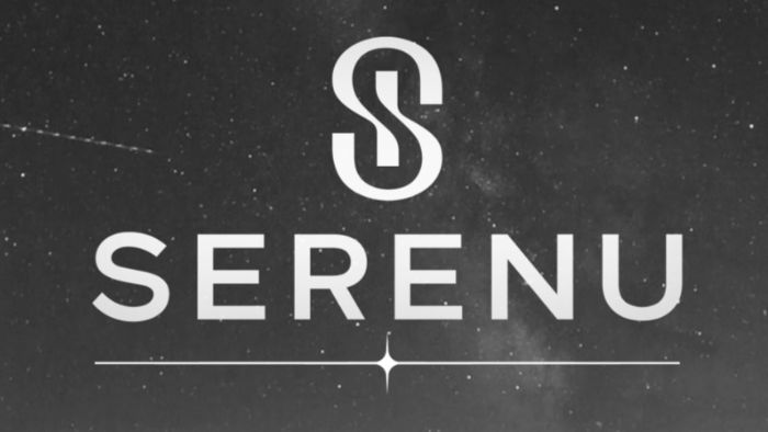Serenu - Wordmark Logo Design