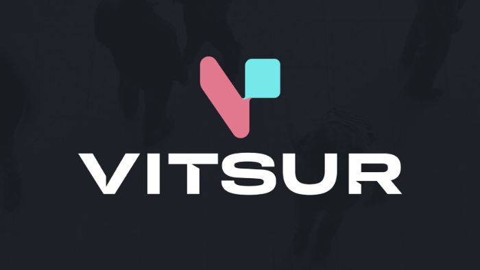 Vitsur - Letterform Logo Design