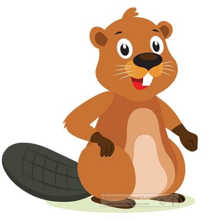 Beaver PNG image