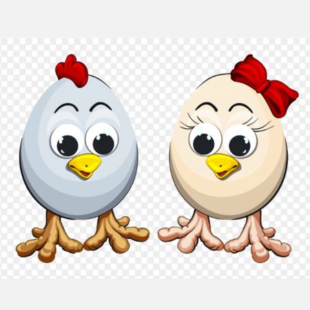 Chick eggs boy and girl PNG image