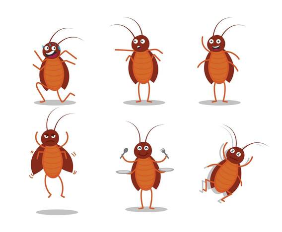 Cockroach Vector Set by FreeVector