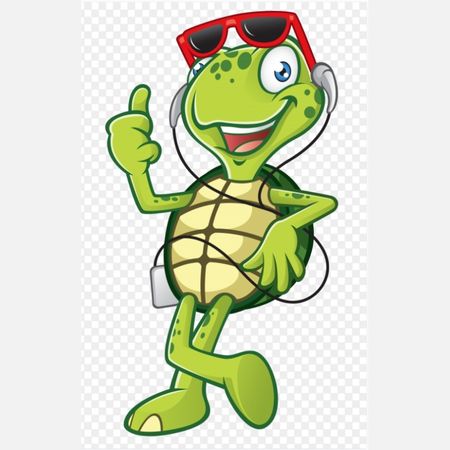 Turtle with glasses PNG image