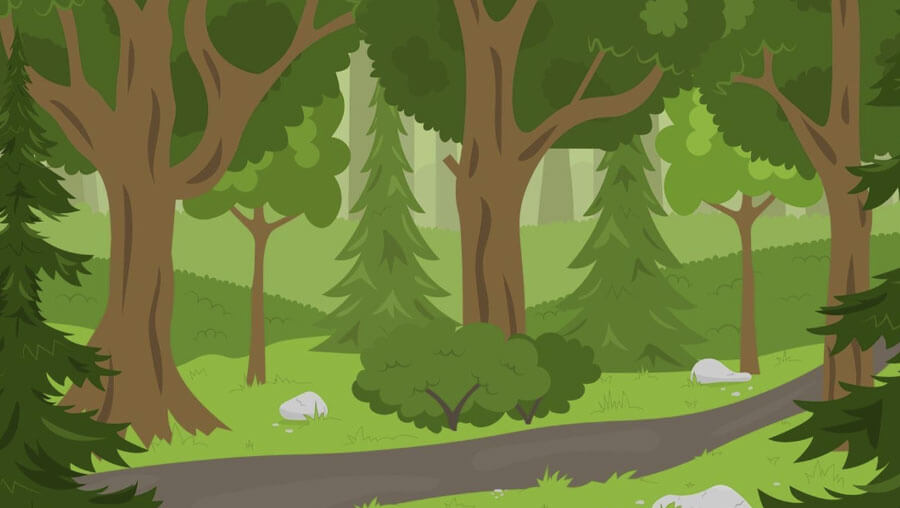Cartoon summer forest background with trees