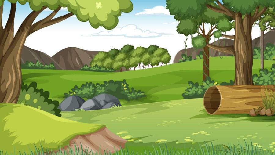 Nature outdoor forest cartoon background