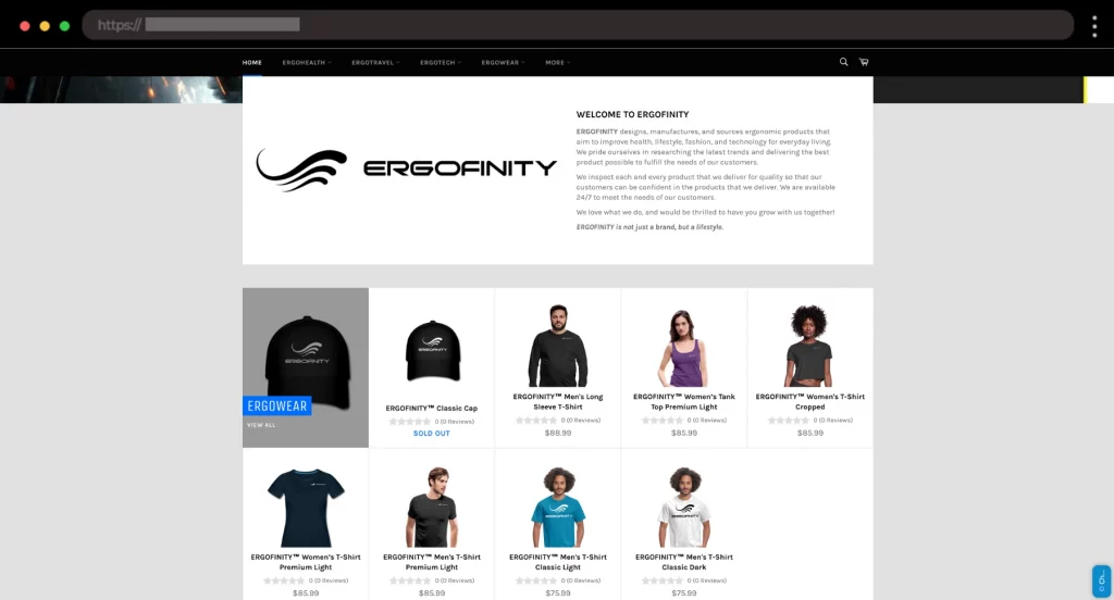 Comfort-Focused Dropshipping Store for Office Products