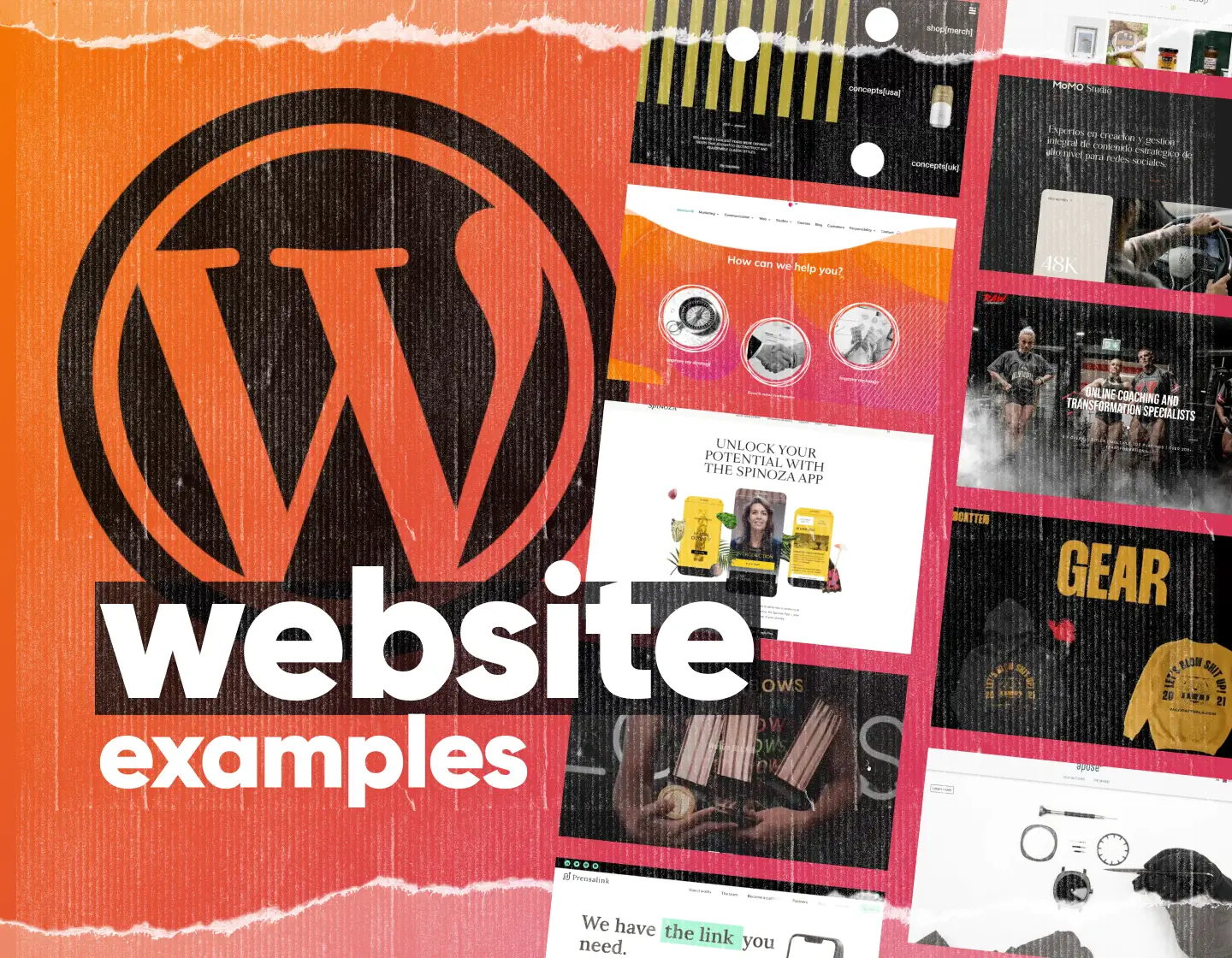 38 WordPress Website Examples with Inspiring Layout Designs